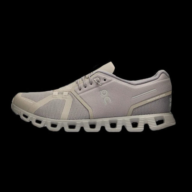 ON : On Cloud 5 Homme, Fog / Alloy